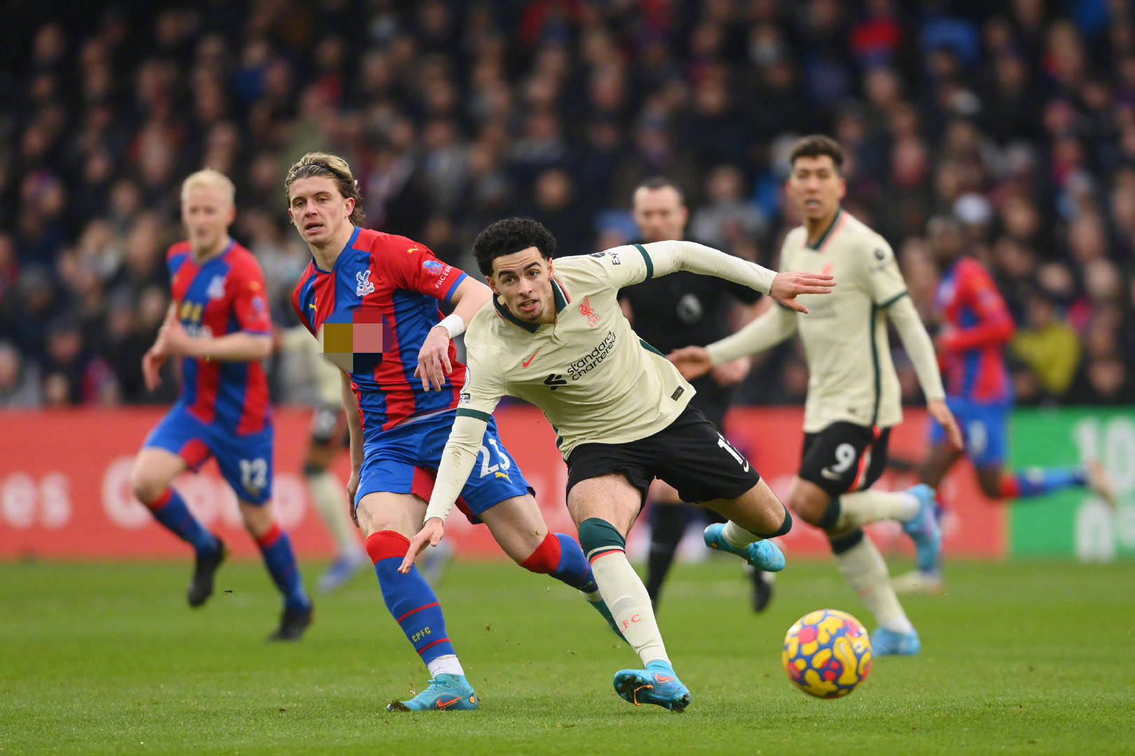 質的完美化 質的完美化